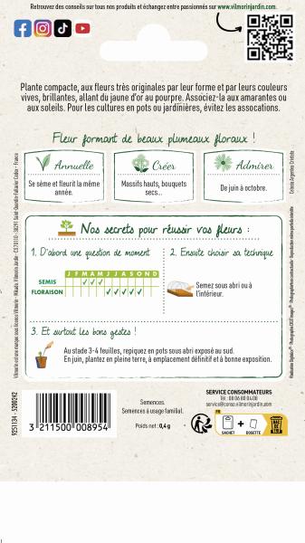 Fleurs - Célosie à Panache Variée - MEDIA_PACKAGING_VERSO